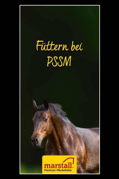 PSSM-Pferde richtig füttern