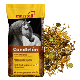 marstall Condicion