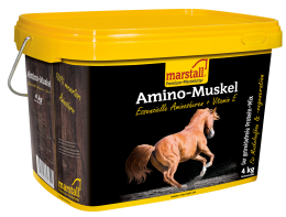 marstall Amino-Muskel Plus 