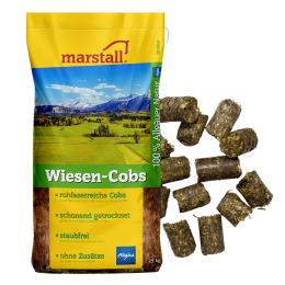 marstall Wiesen-Cobs